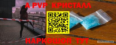 прущие грибы Будённовск