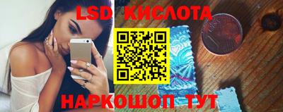 прущие грибы Будённовск