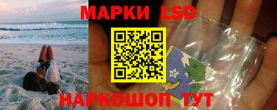 прущие грибы Будённовск