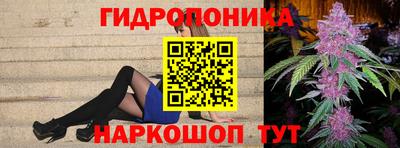 прущие грибы Будённовск