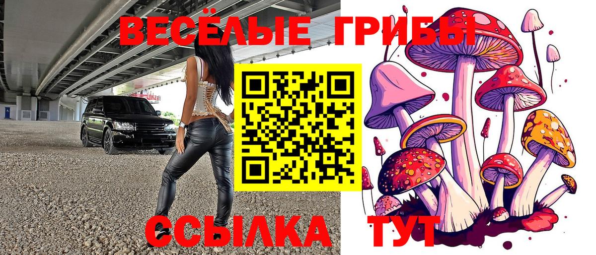 Людиново  купить наркотики сайты  Вход с VPN  Галлюциногенные грибы мухоморы  Галлюциногенные грибы Psilocybe 